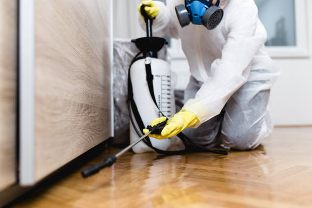 Best Affordable Pest Control Services  in David City, NE