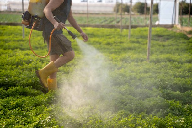 Best Pest Removal Services  in David City, NE