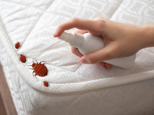 Best Best Pest Control Companies  in David City, NE