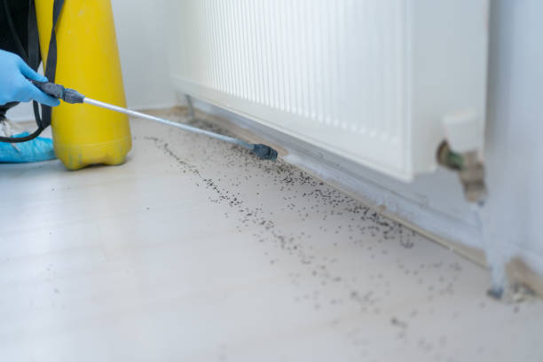 Best Residential Pest Control  in David City, NE
