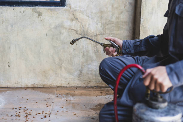 Best Best Pest Control Companies  in David City, NE