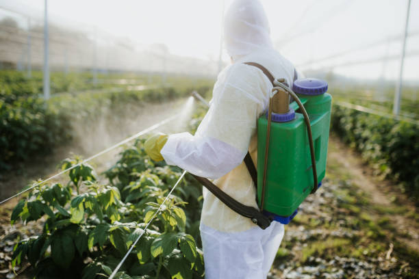 Professional Pest Control in David City, NE